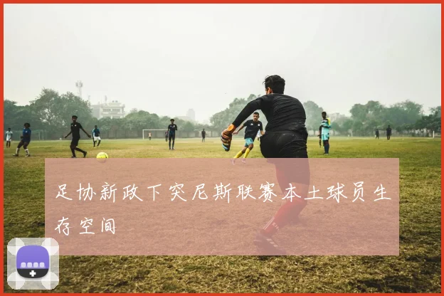 足协新政下突尼斯联赛本土球员生存空间