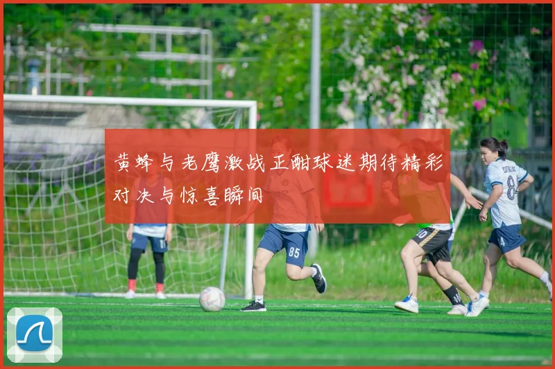 黄蜂与老鹰激战正酣球迷期待精彩对决与惊喜瞬间