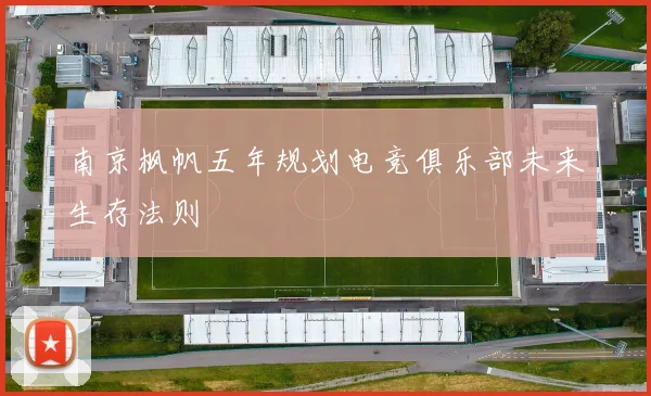 南京枫帆五年规划电竞俱乐部未来生存法则
